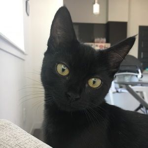 Meet your Posher, Kory